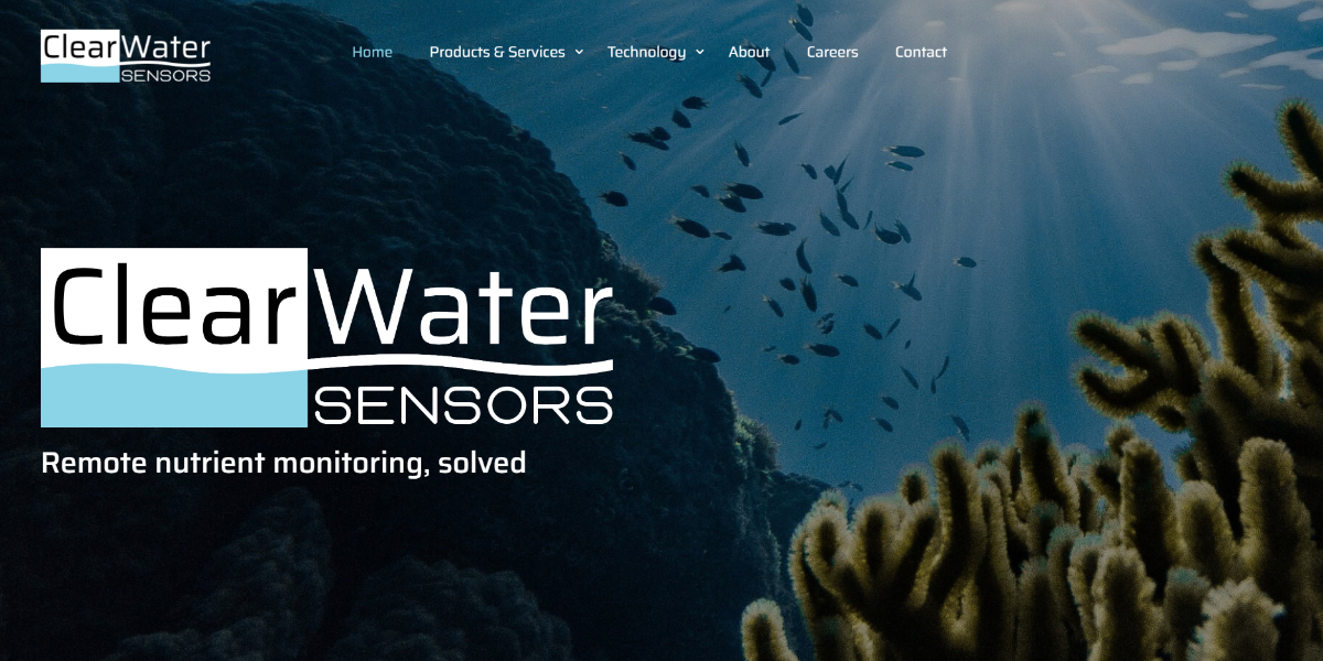 clear water sensors